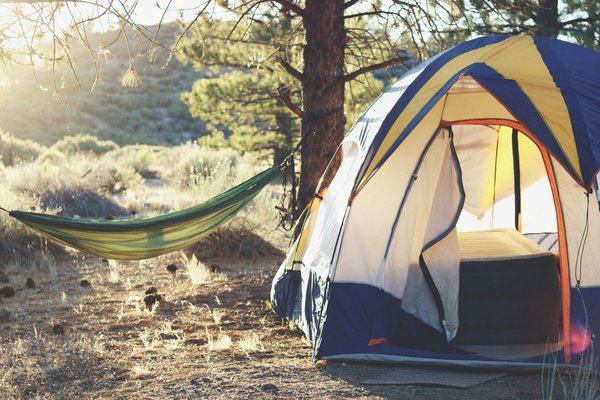 Comment choisir le bon équipement pour un camping en région de forêt boréale en hiver?